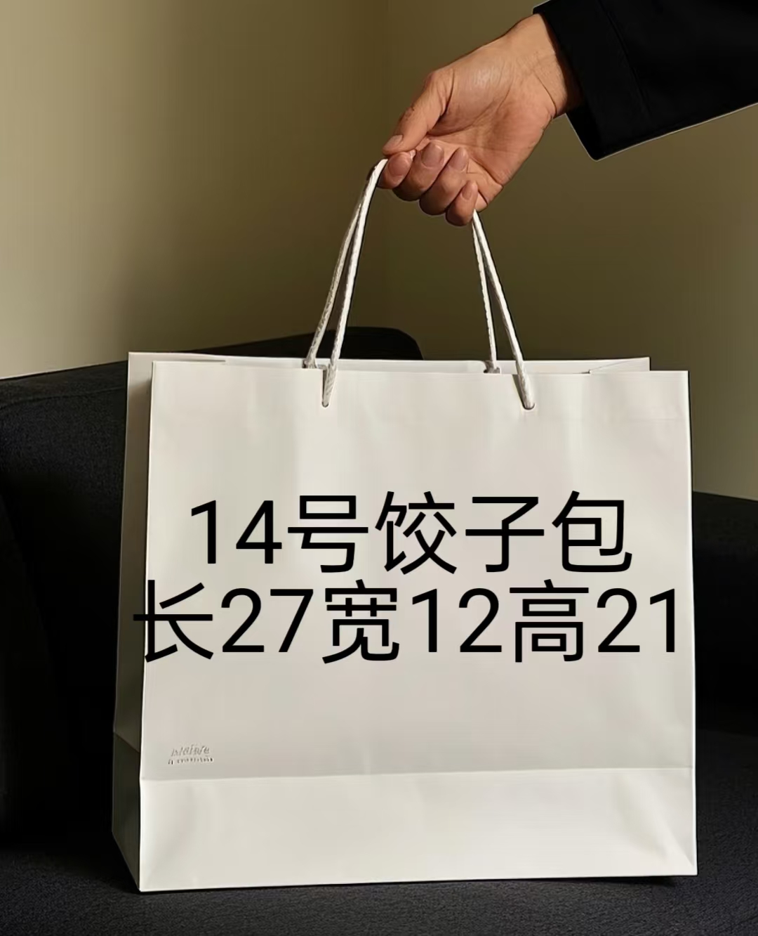 （B）14号饺子包气质时尚A2785-2