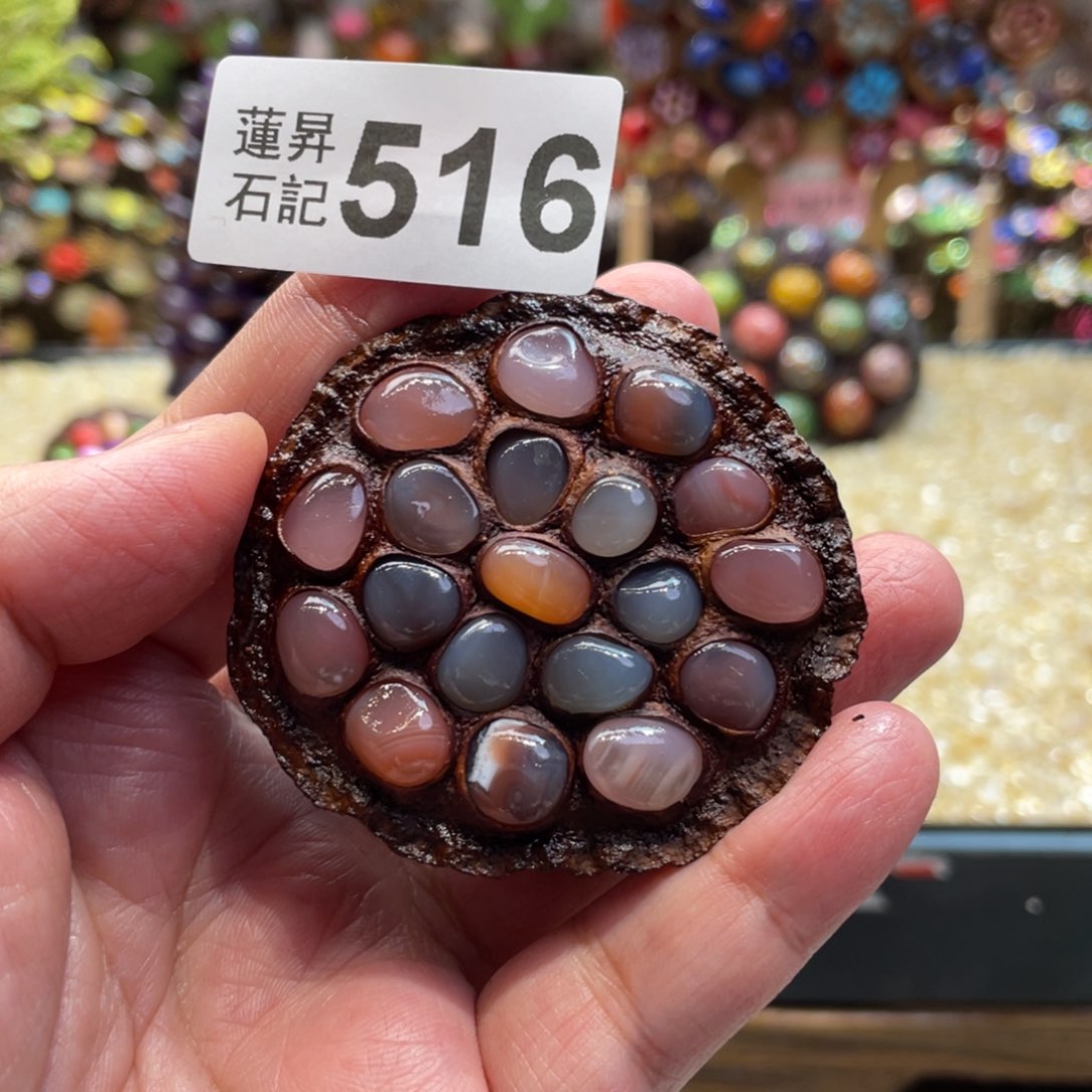 核桃木/黑胡桃（胡桃木）516