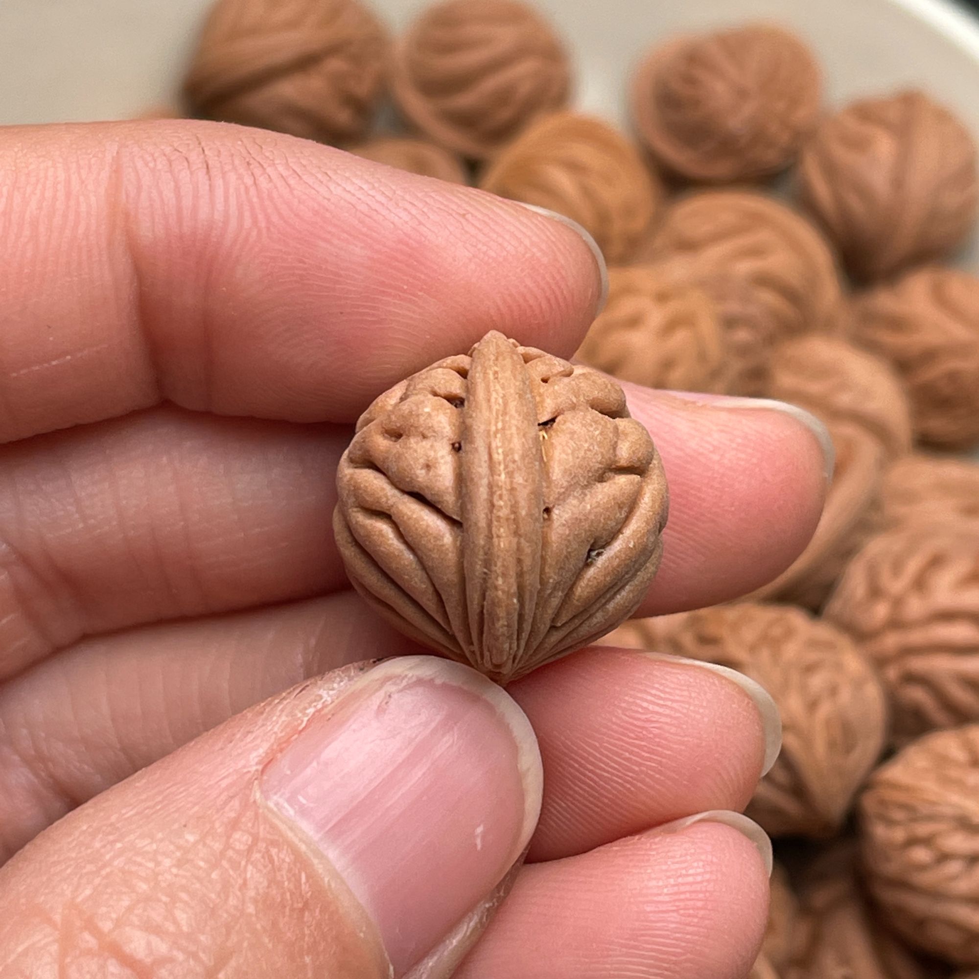 龙纹桃核新品种玉麒麟桃核