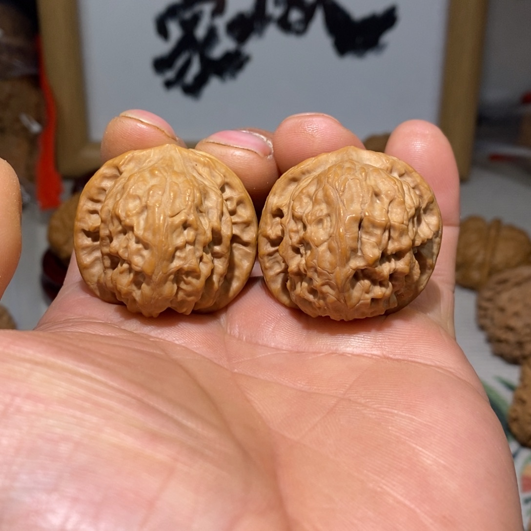 文玩核桃把件35加全品野狼