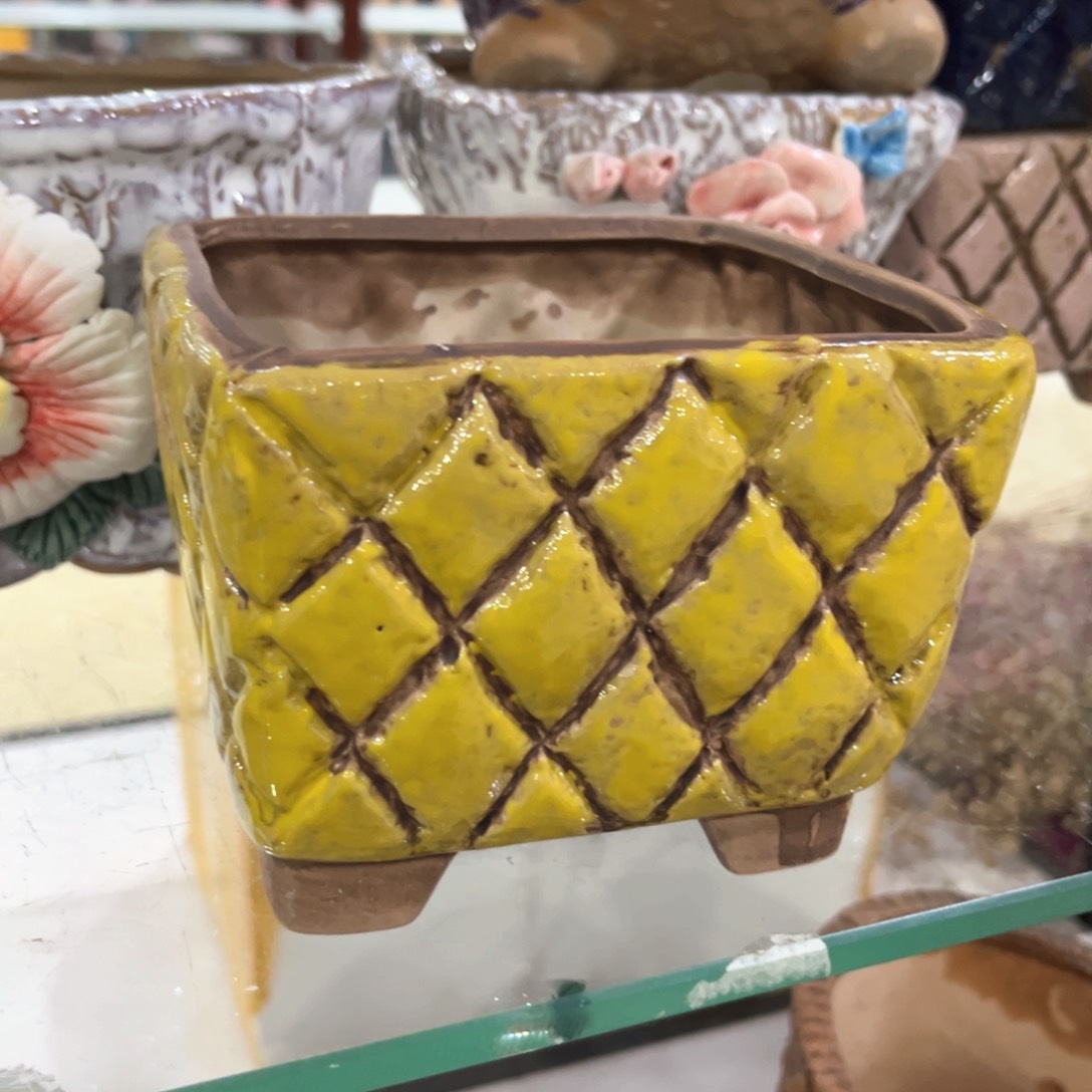 红陶福利福利福利福利