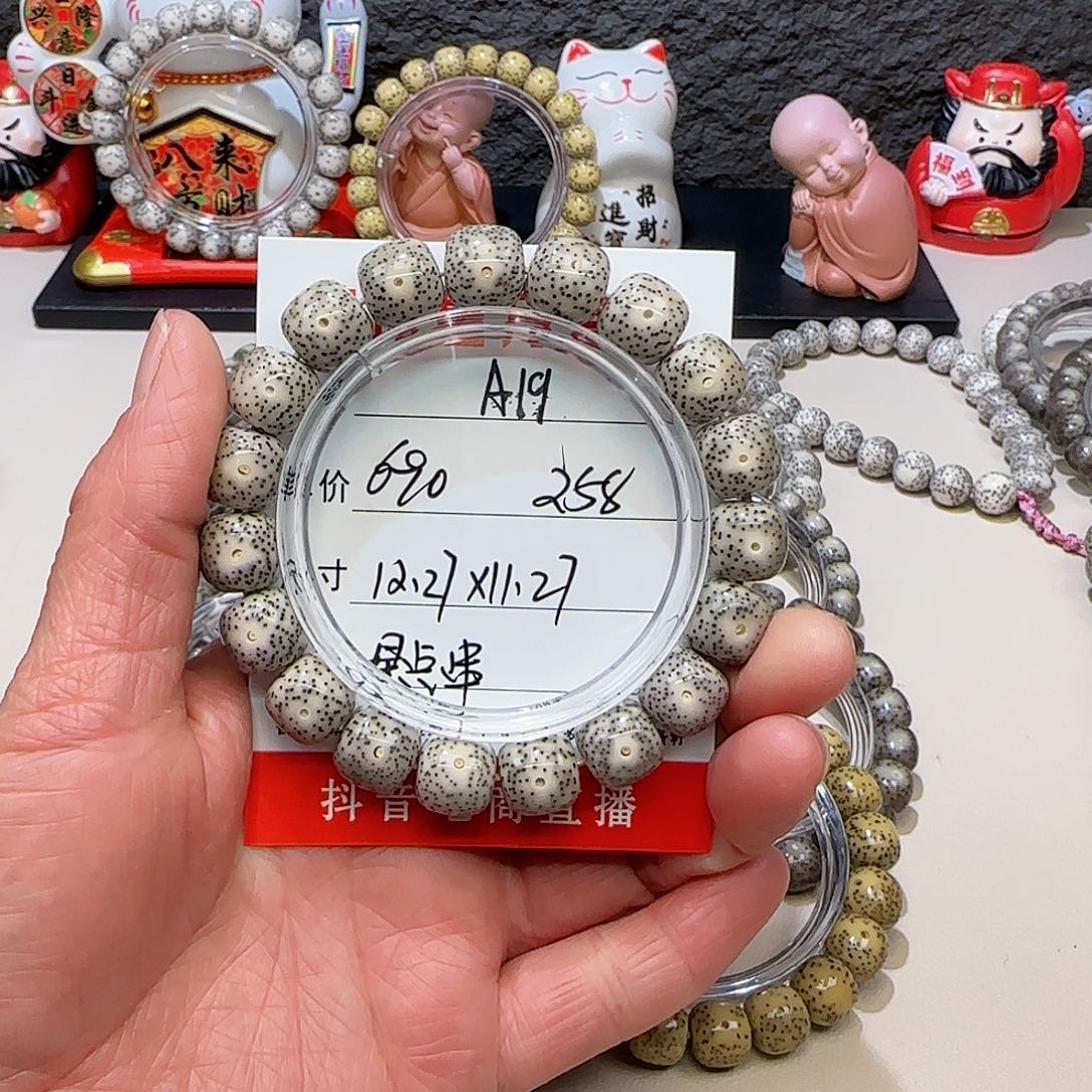 海南荷塘星月菩提A19