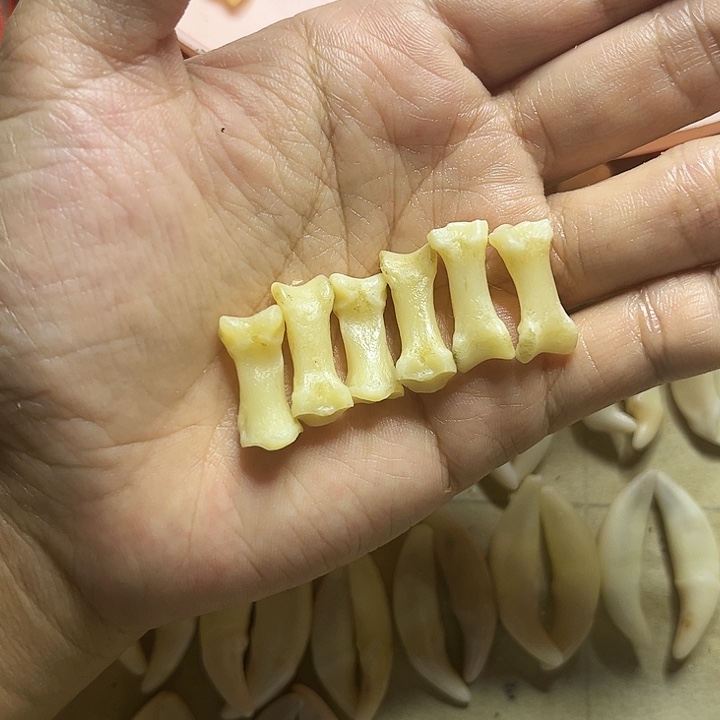 原生抓子骨3对卡3点几左右