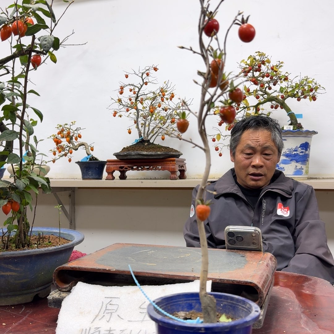 @***境无花朵151顺丰到付不包邮