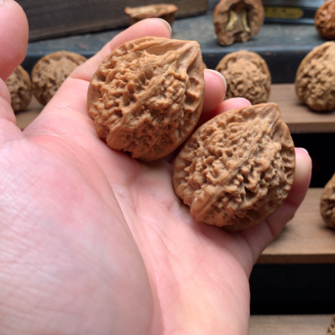 核桃八号链接41尺王勇官帽全品无修