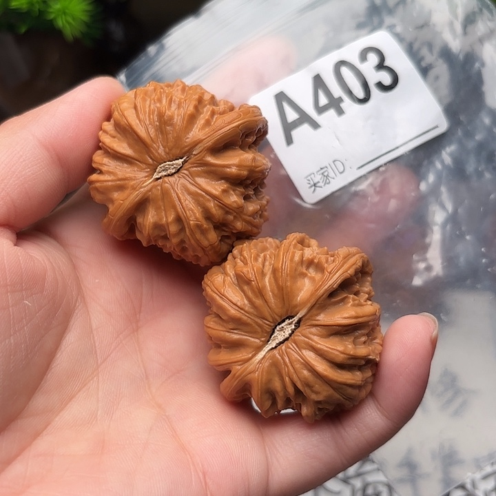 桃核把件核桃白狮子和42