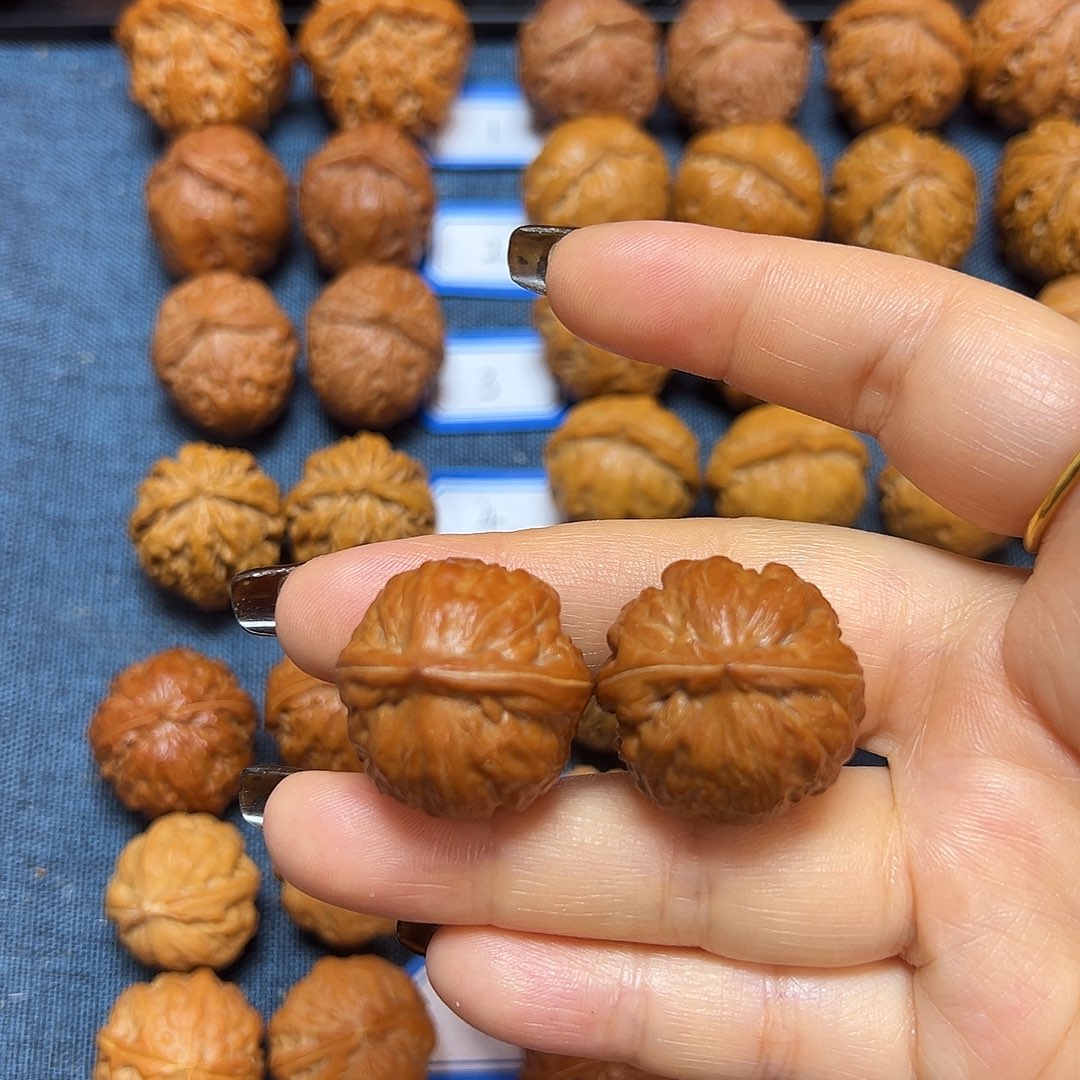 文玩核桃吊坠粗筋霸王龙26尺全品无修