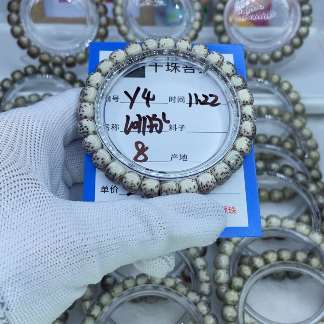 菩提籽类Y4河豚00