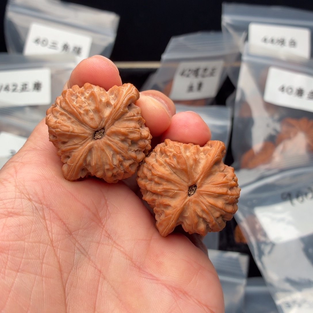 笑***尘把件文玩核桃37尺全品血麒麟