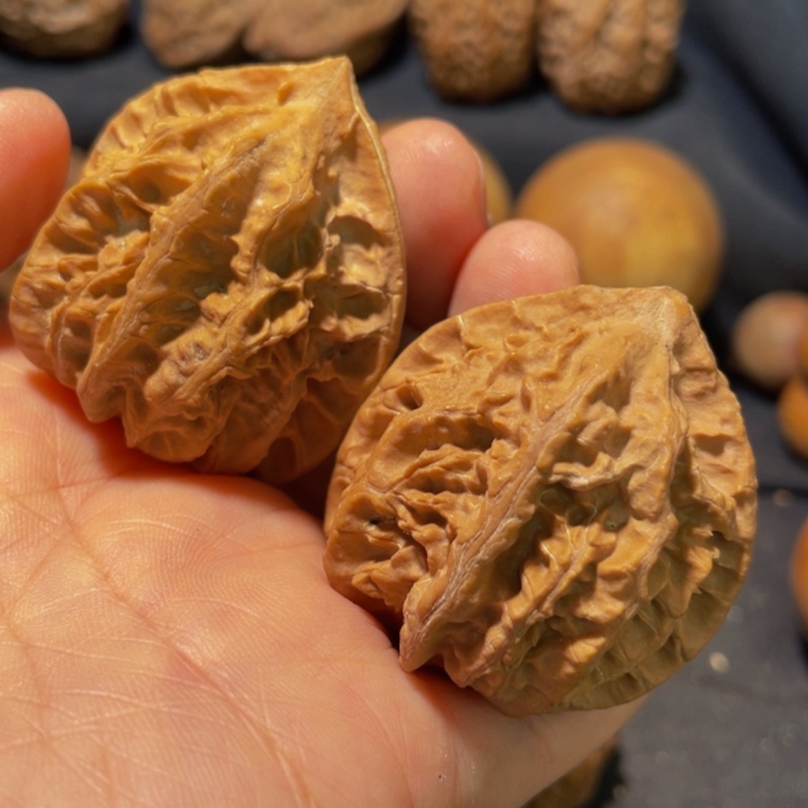 【闪购商品】文玩核桃吊坠用****4东北楸子31