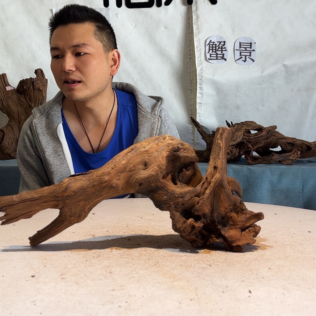 聆*沉木造景爬宠造景