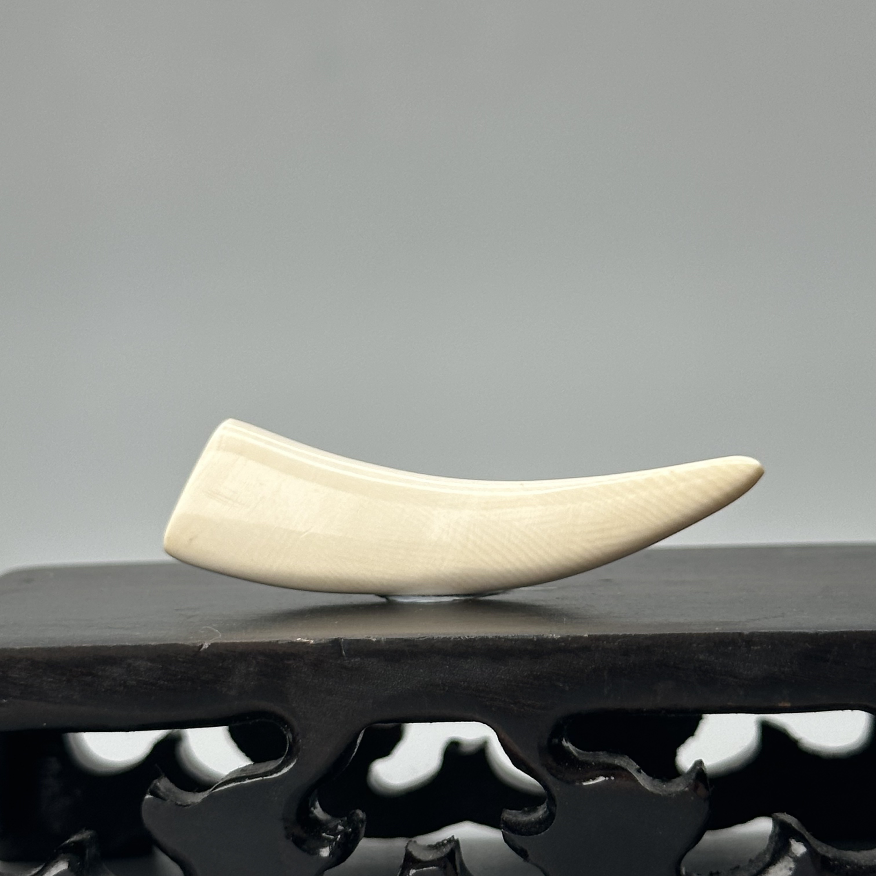 DEZHI/德志2.6g纯肉牙尖43*11*7mm天然猛犸牙默认打孔绑绳P254