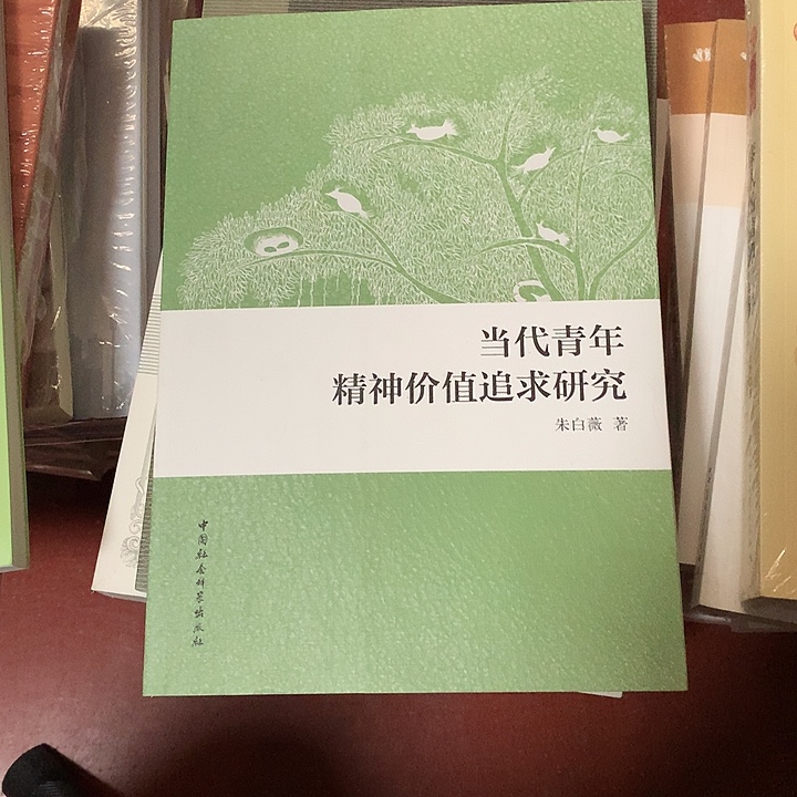 胡***龙当代青年精神价值