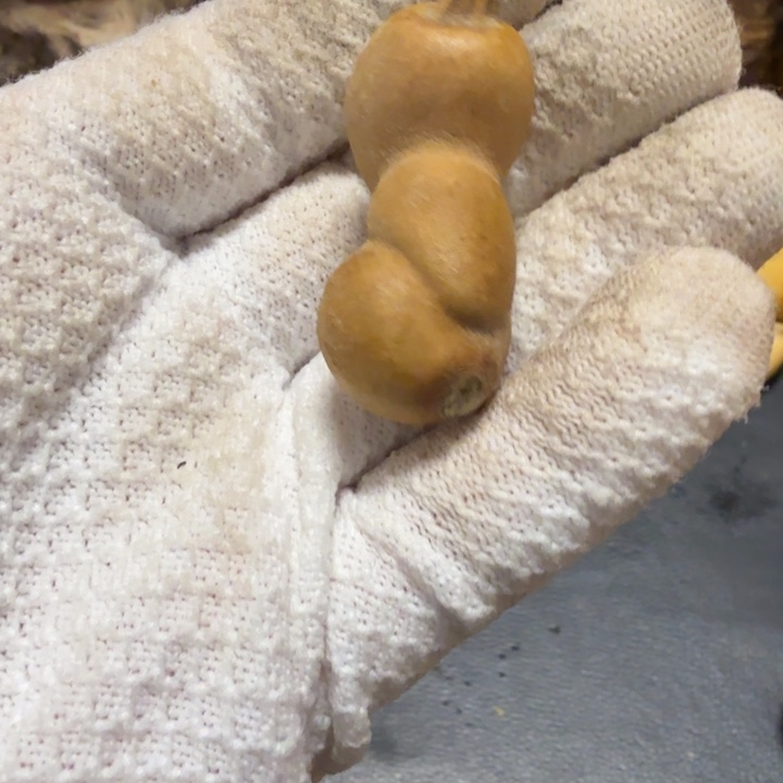 @***@6666666666666667666