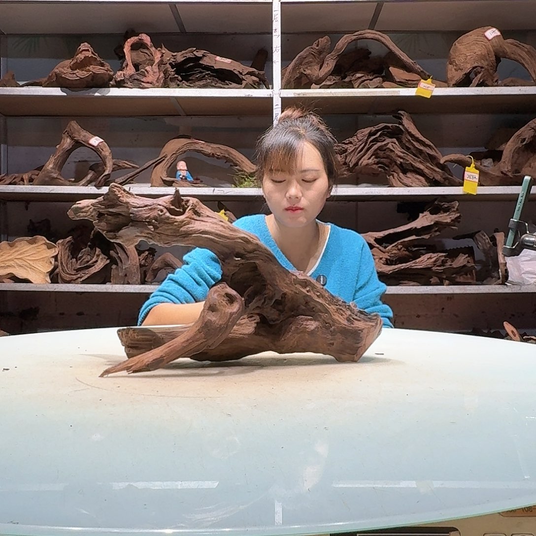 倍褚沉木不包损必褪色梦*6601