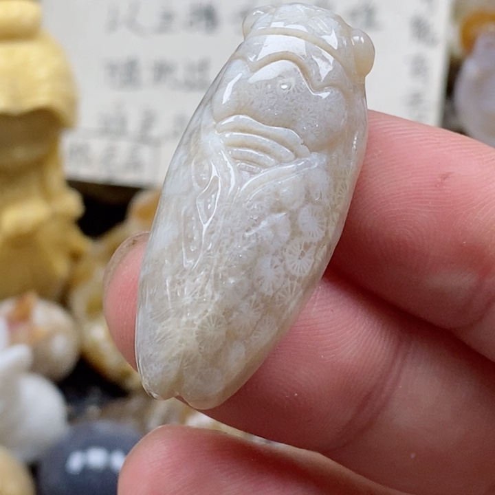 颈饰未镶嵌硅化珊瑚（珊瑚玉）小