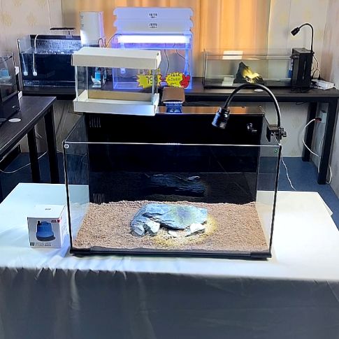 玻璃金晶超白25✖️16✖️18，5mm厚瑕疵缸不影响使用