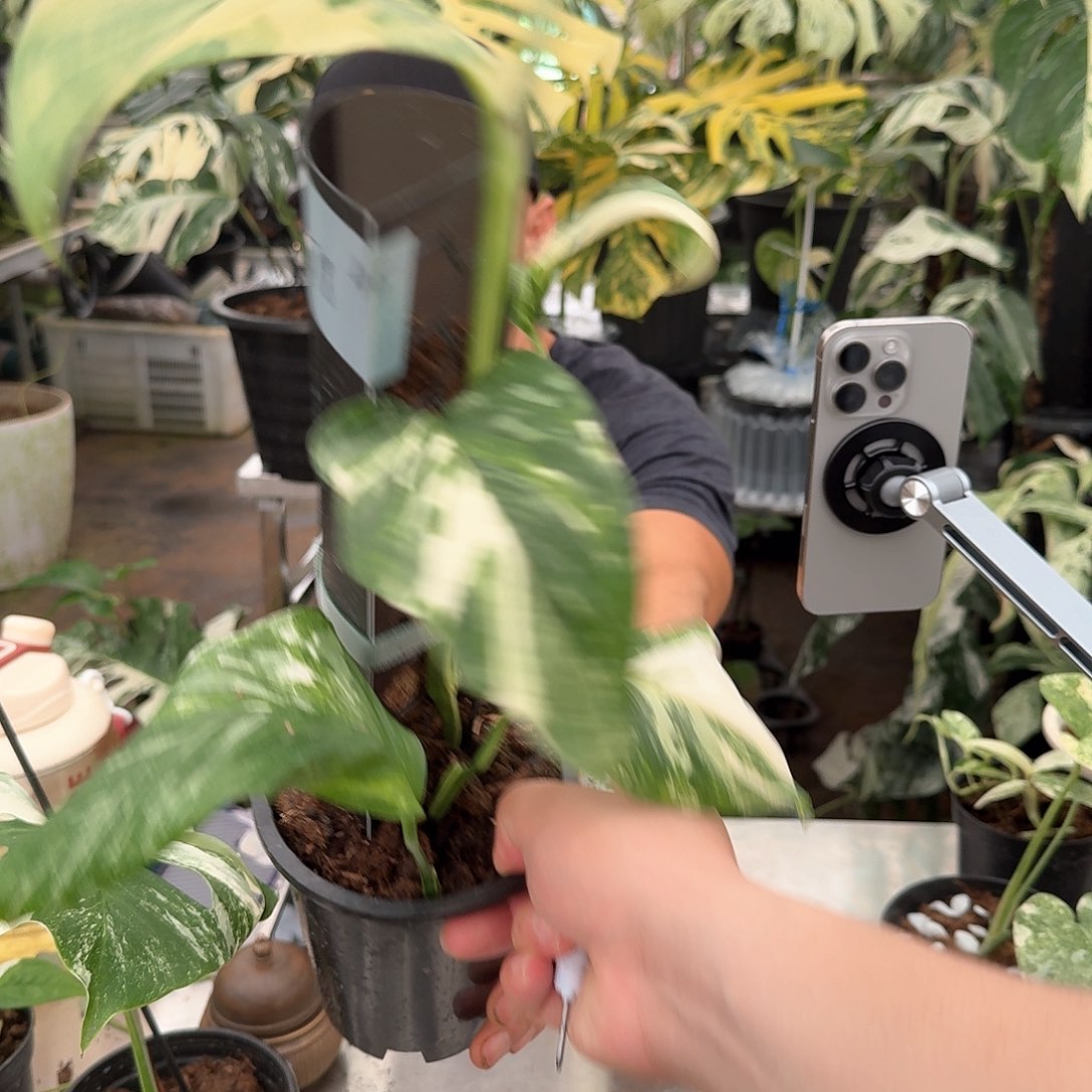 a***o无花朵45莱克巨同8518