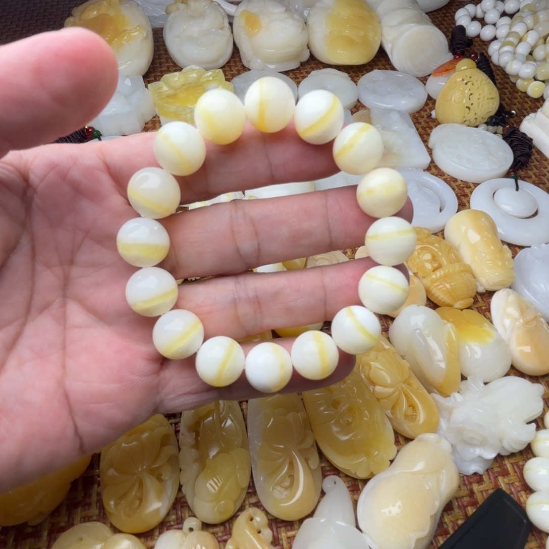 T***r非金属贝壳天然贝壳