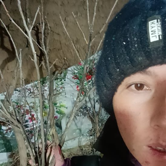 爱***子完全开放文冠树一颗