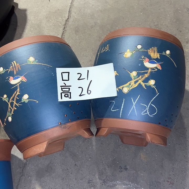 紫砂紫砂紫砂紫砂紫砂 