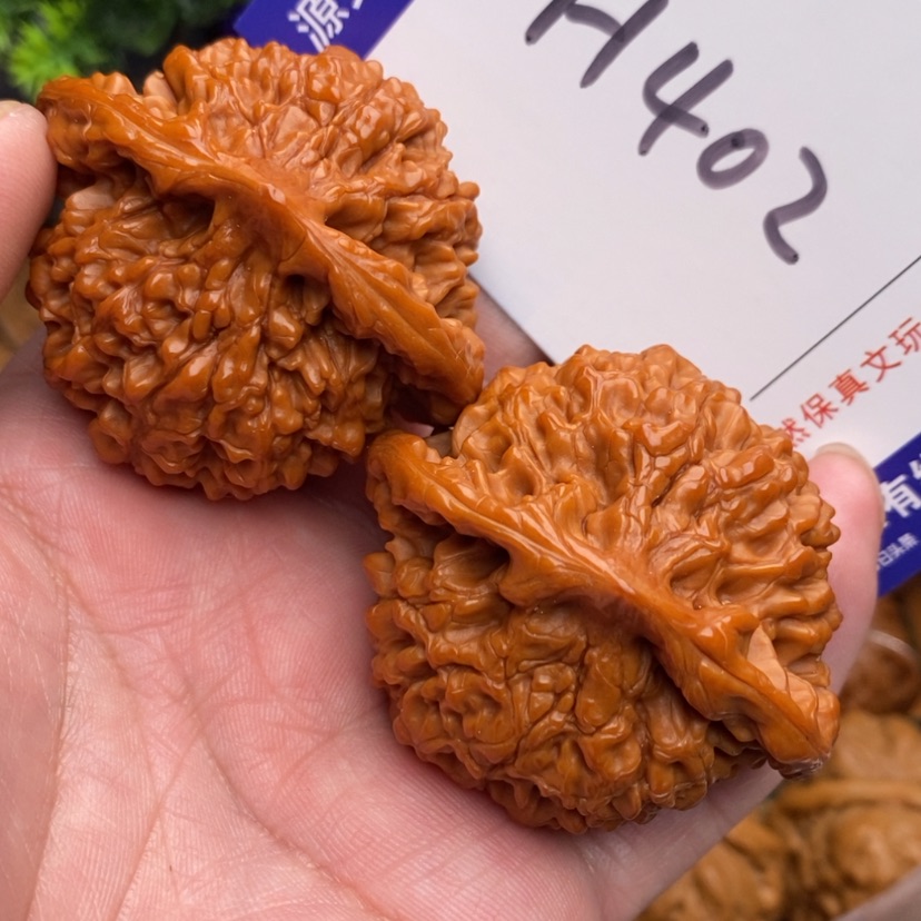 【闪购商品】文玩核桃把件边50大官帽