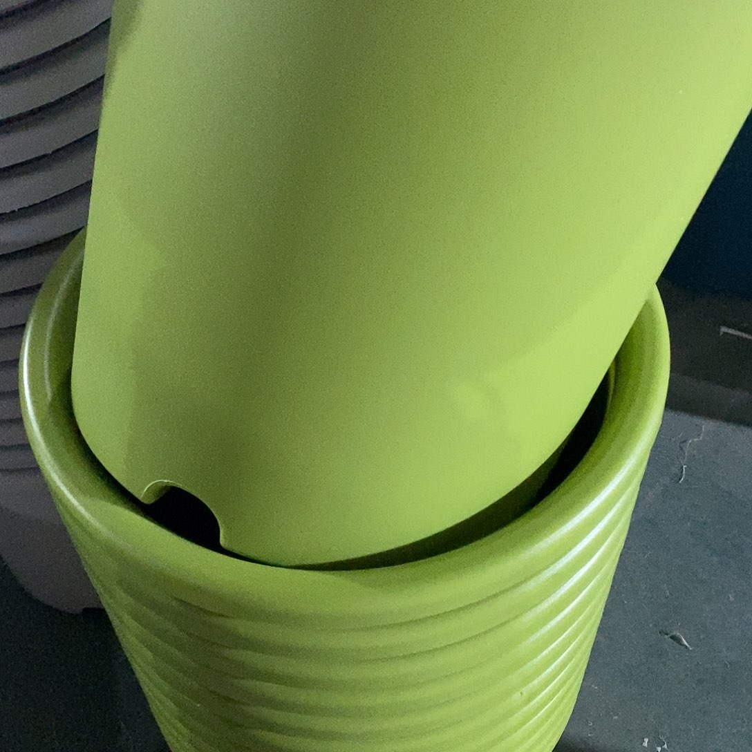 树脂四季8号果绿色3个无拖