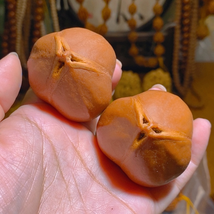 野生蟠桃三花大橄榄