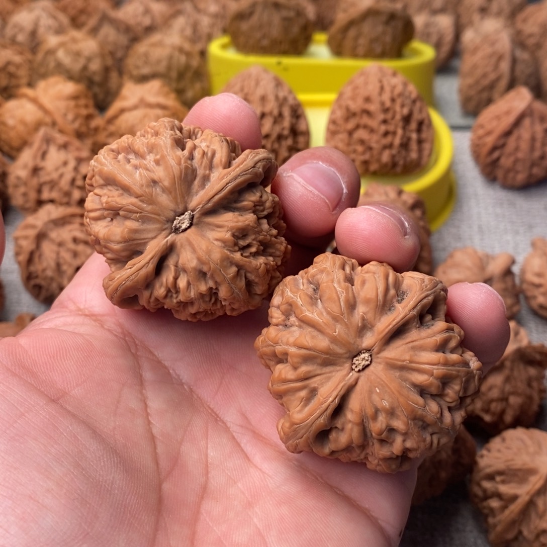 文玩核桃吊坠45大粗筋