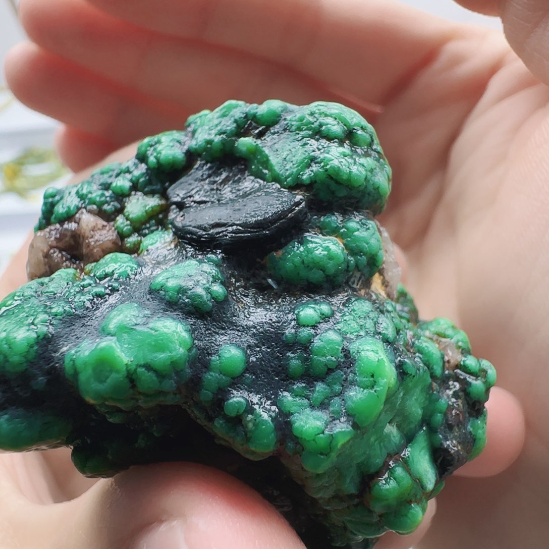 绿松石未镶嵌颈饰菜籽翠色高品质随行