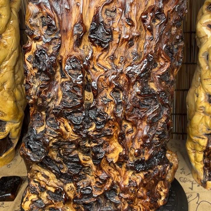 通***天香榧木你说过了什么都可以的