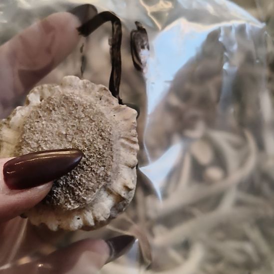 u***6鹿角鹿角鹿角鹿角鹿角鹿角