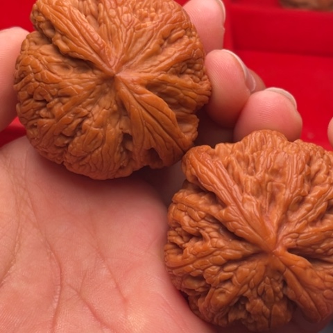 文玩核桃把件秦岭山脉核桃