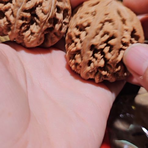 5***0吊坠文玩核桃50粗筋