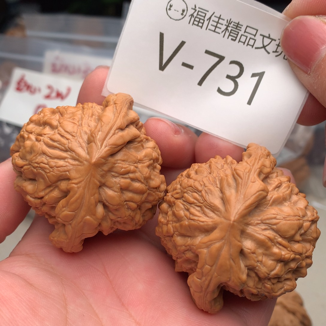 文玩核桃把件51龙鼎…………..