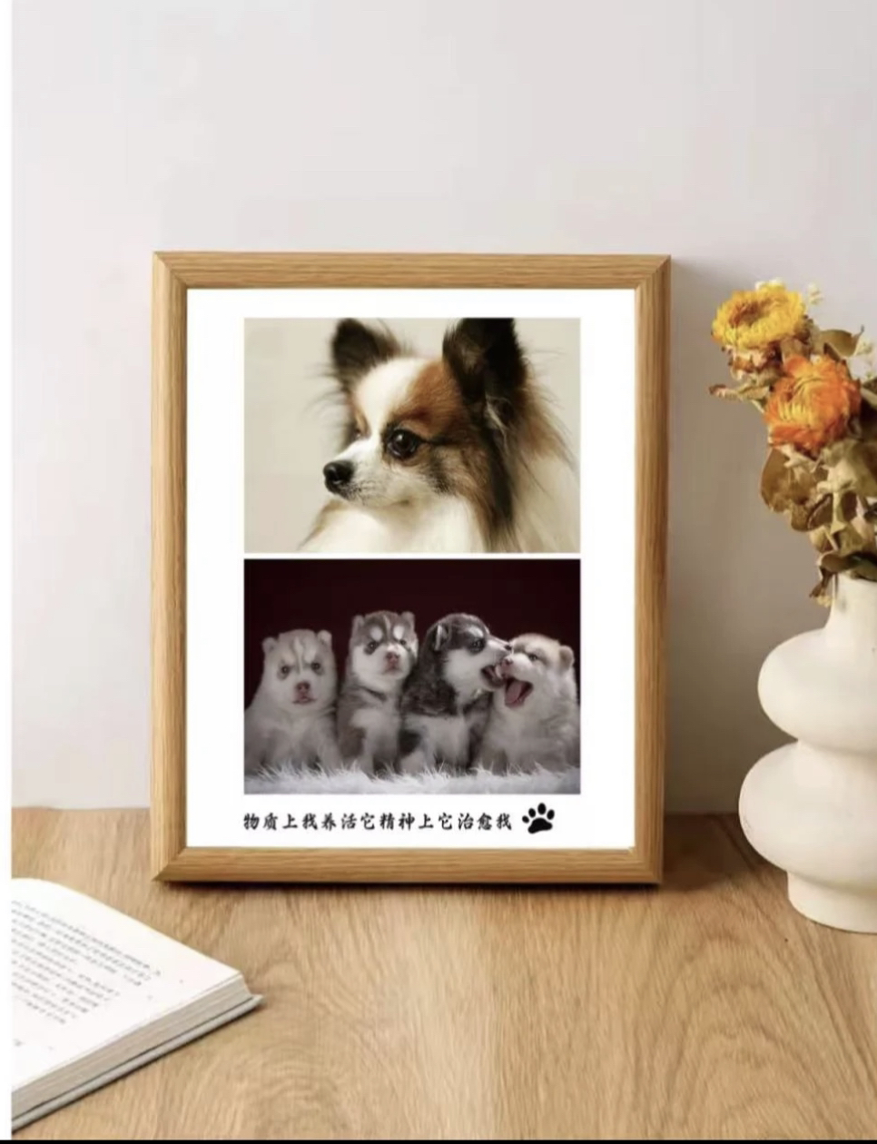 宠物相册定制专属定金链接