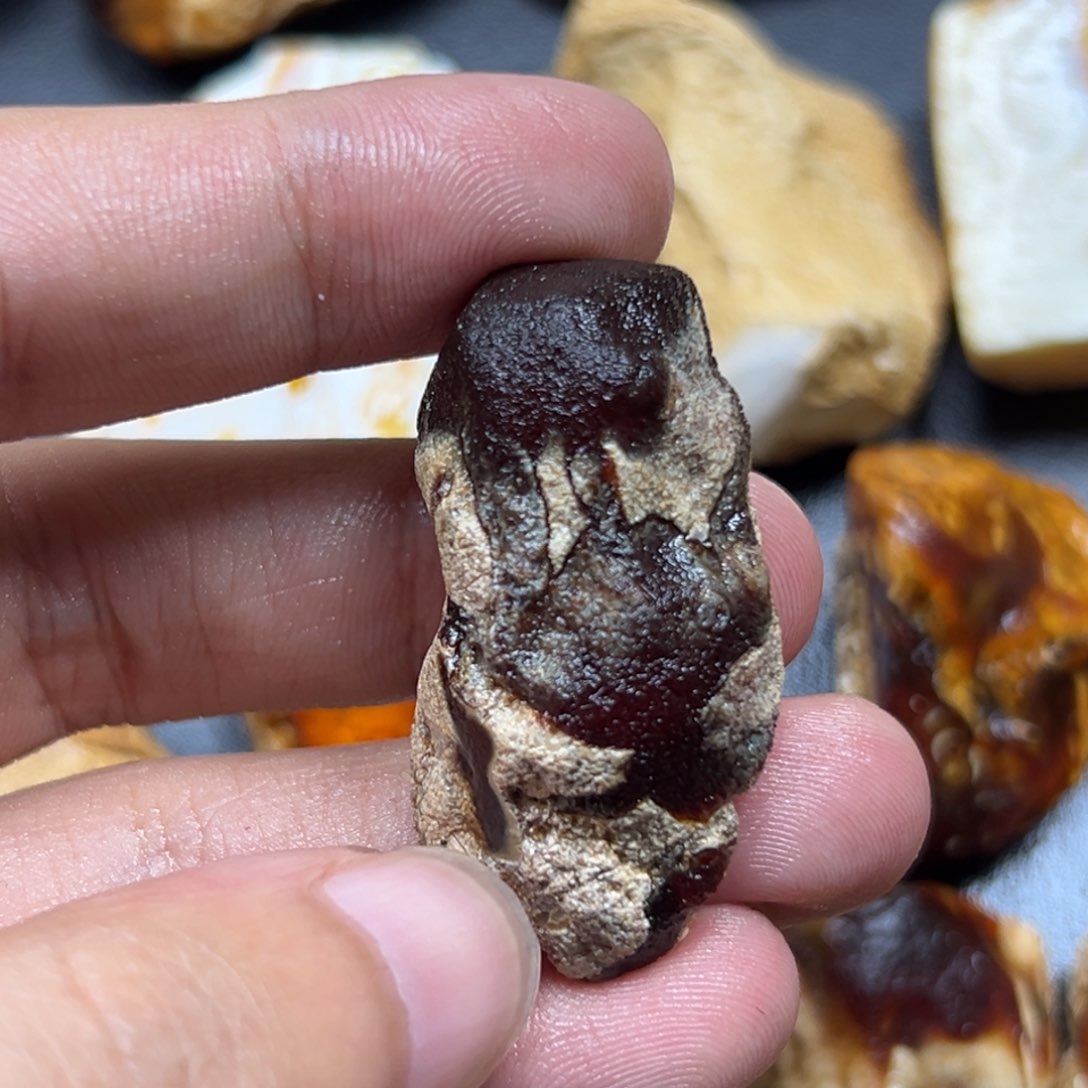 定制琥珀未镶嵌鹰****哈琥珀蜜蜡原石定制