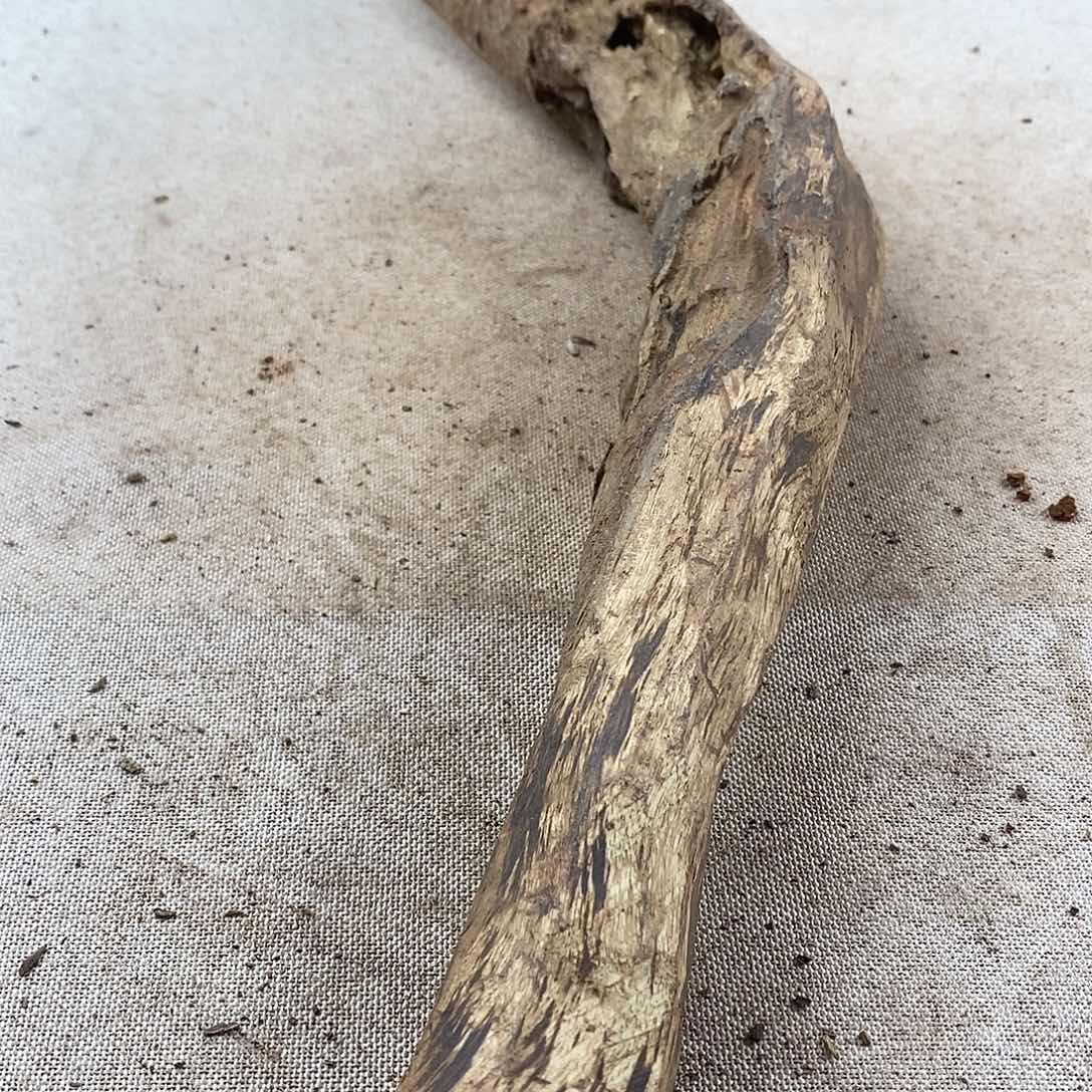 我***赢黄花梨/降香黄檀黄花梨随形料子