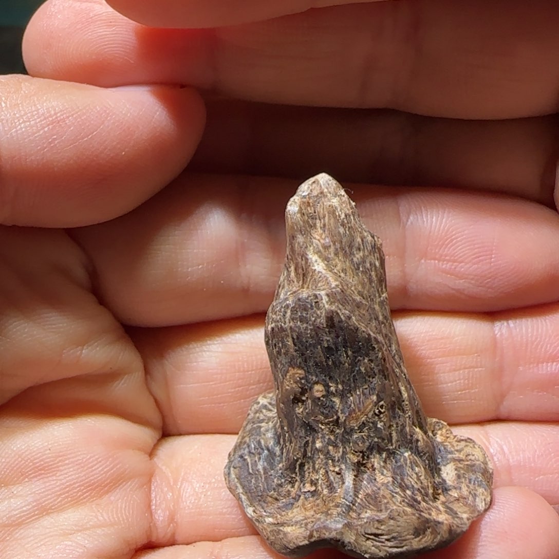 【闪购商品】沉香碎屑沉香3.68克文莱99沉老料不退