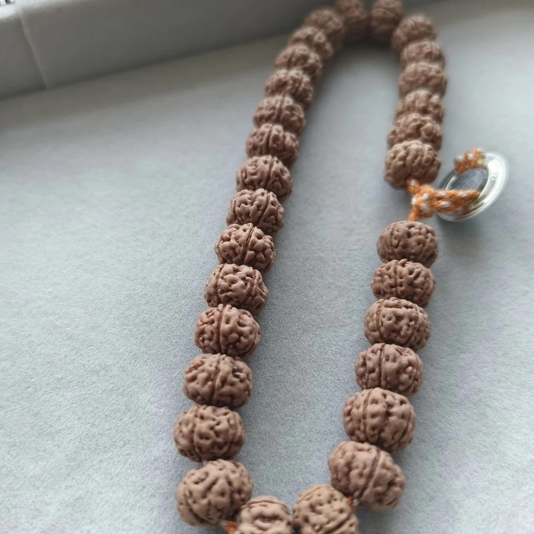 勿里达纯血老树王