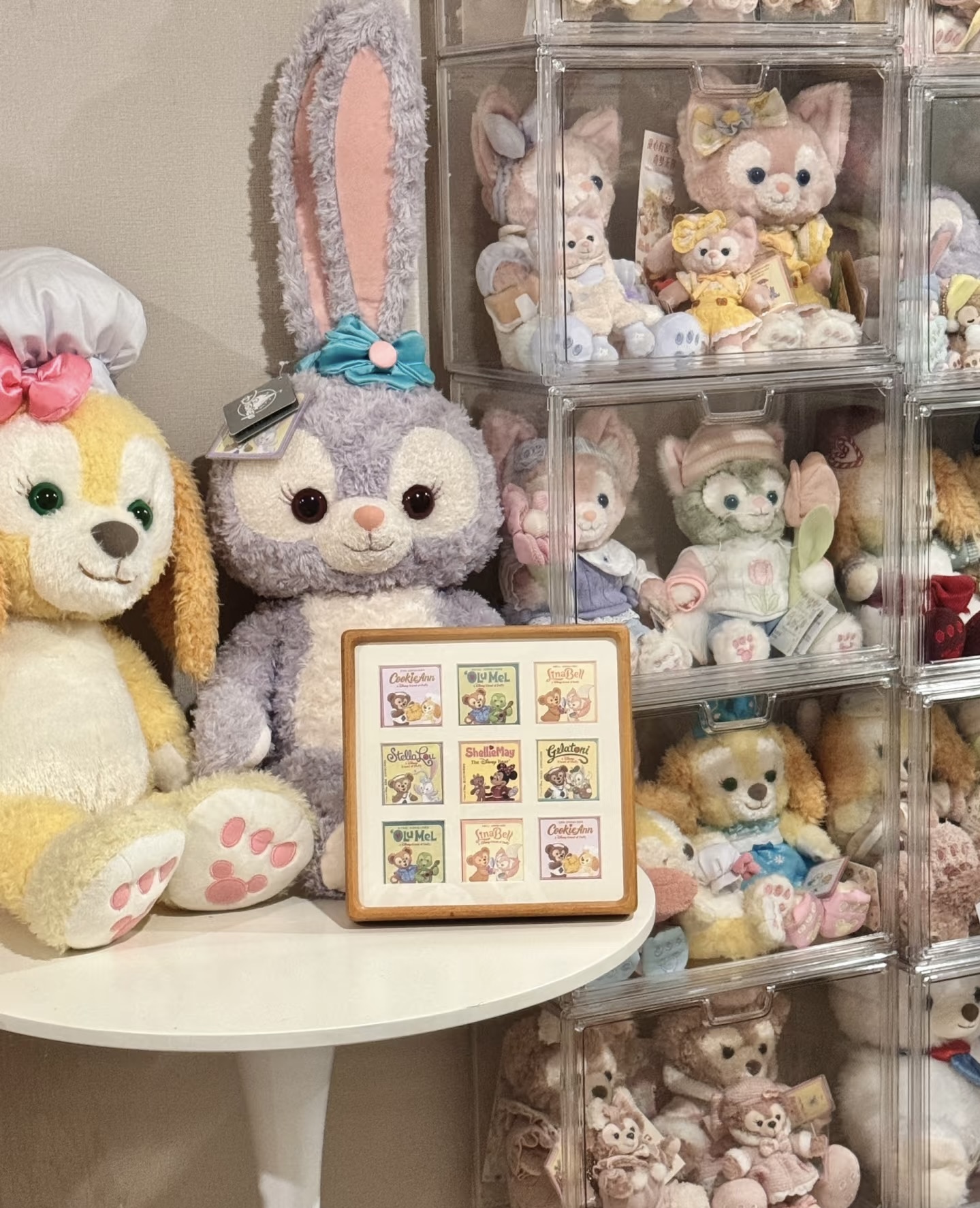 桃柚游乐园 《老粉补米链接》【水果对号入座】