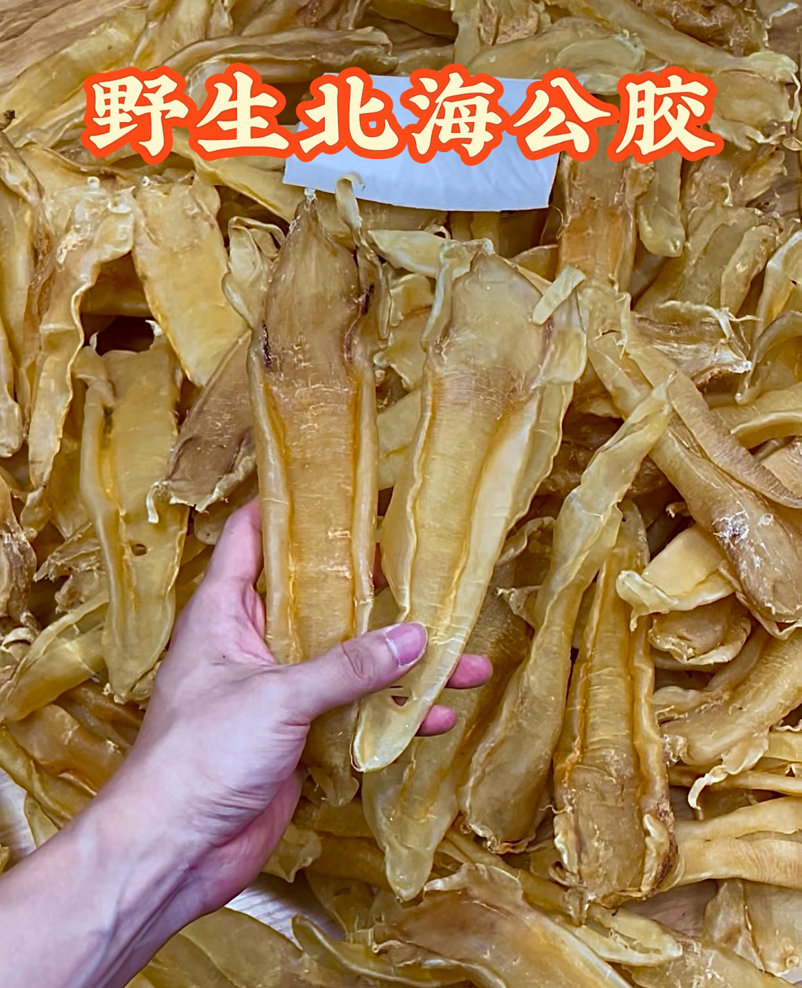 旺泰佳滋补 老北海公胶 野生公胶北海胶鱼胶花胶滋补月子胶鱼鳔