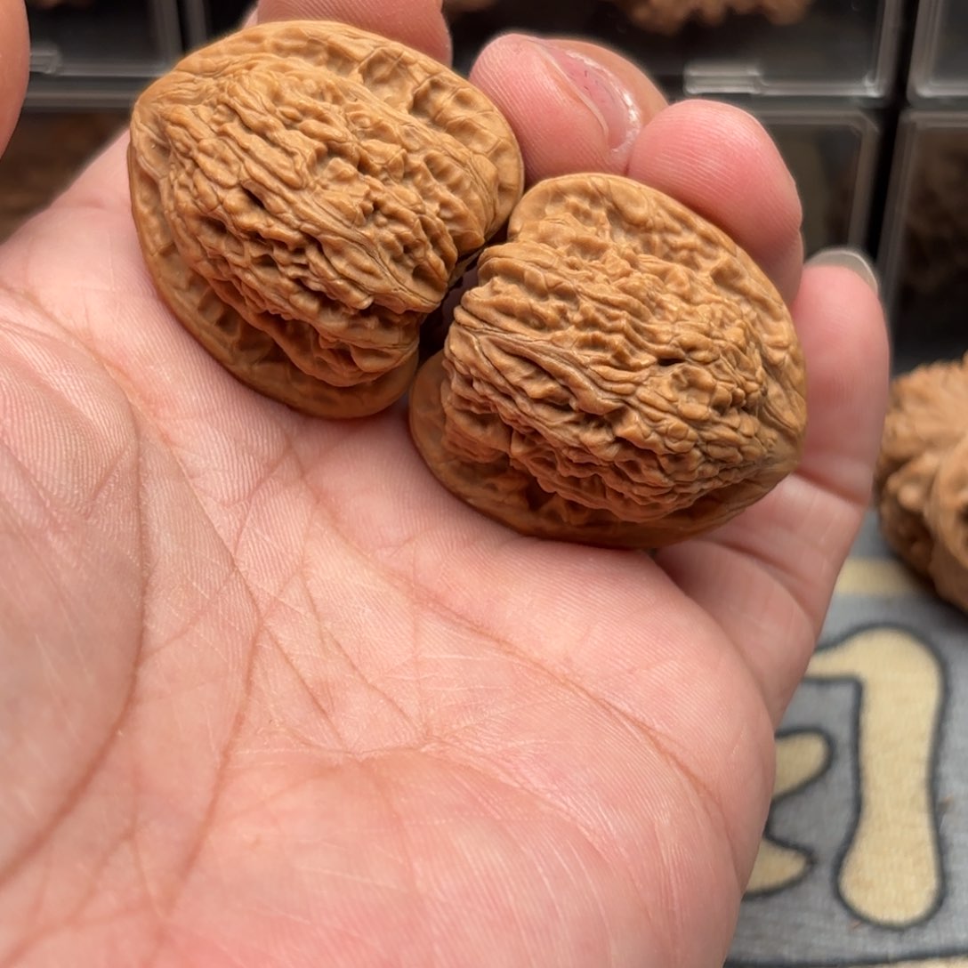 文玩核桃把件密纹