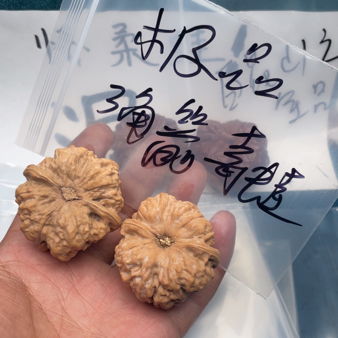 核桃W974407470074407479497470