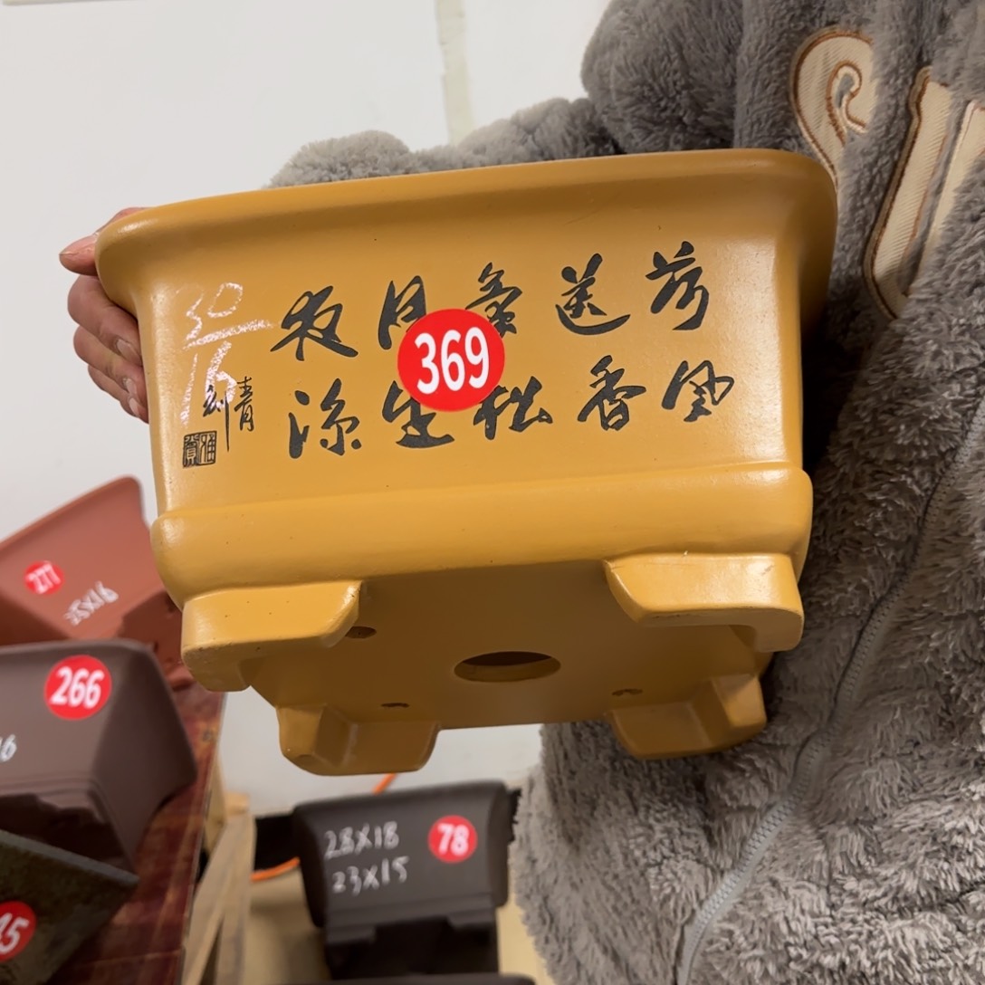 紫砂花盆呜呜呜呜