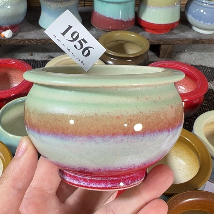 口6高6 …未满30元运费到付