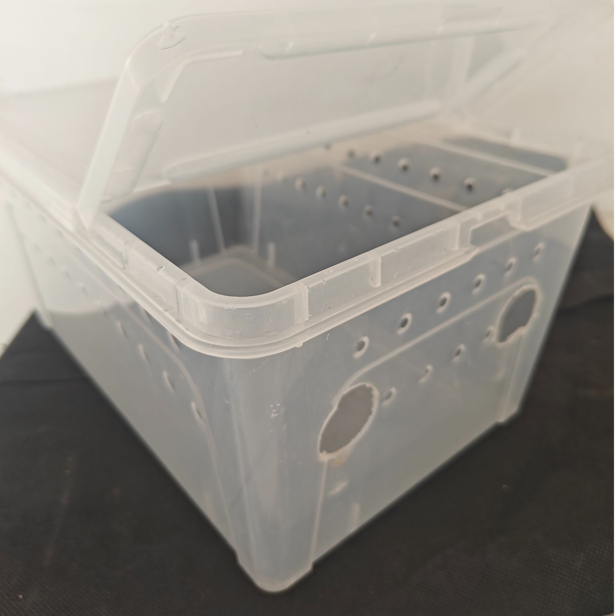 压老野神器压云雀老野新鸟快速服笼快速小叫快速上手接食干净鸟笼