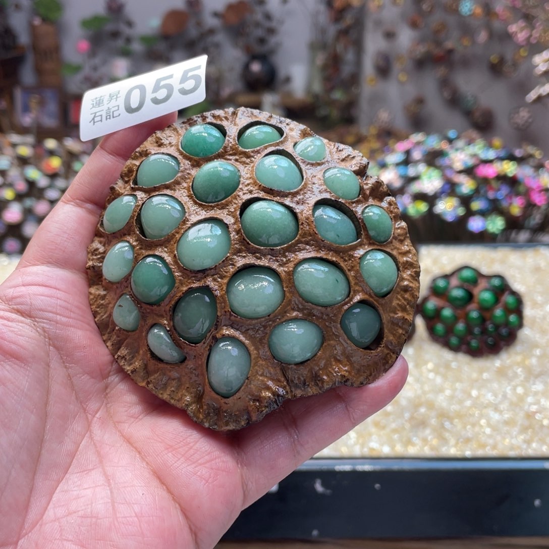 核桃木/黑胡桃（胡桃木）055蘑菇