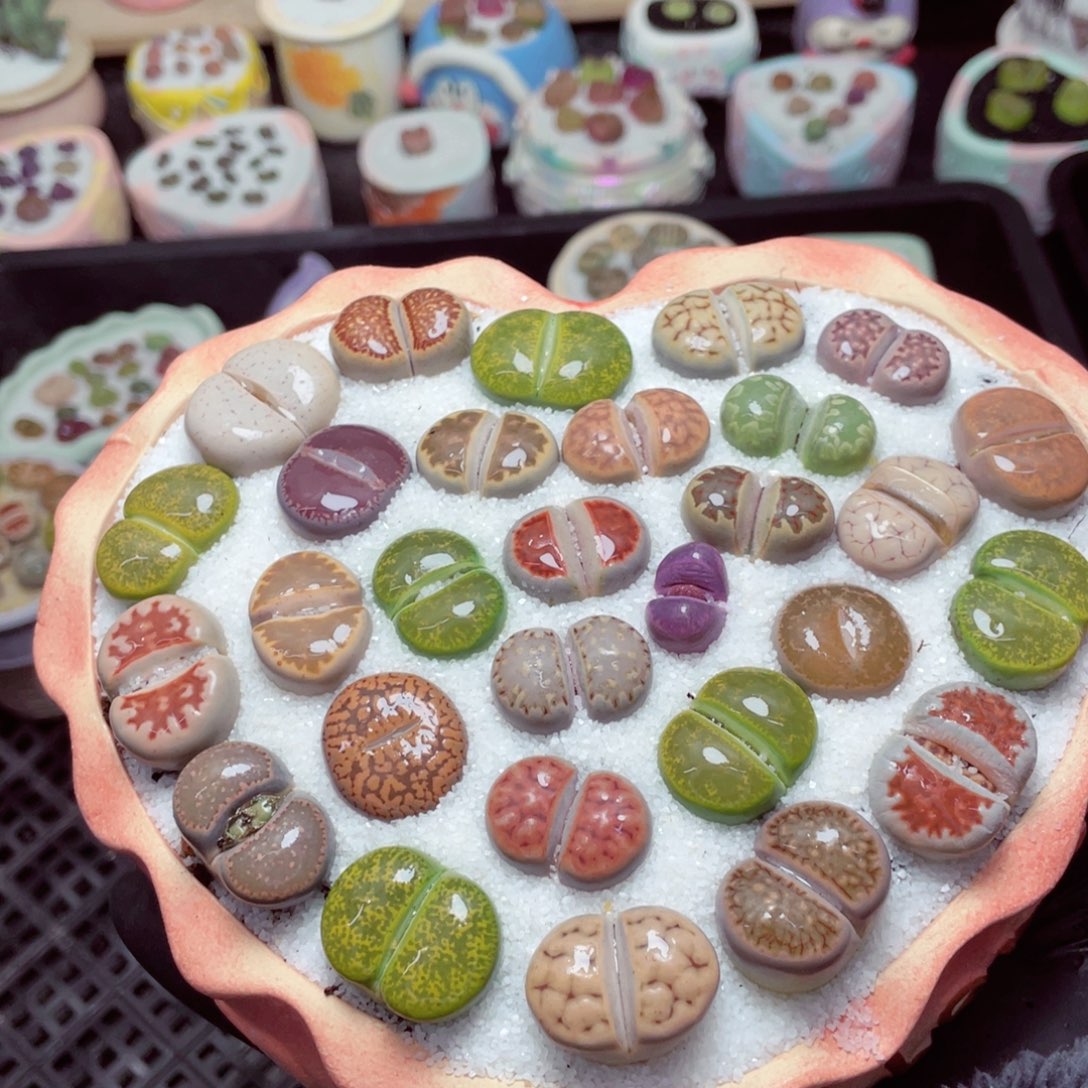 w5596--带盆土发货，零下地区拍保温箱