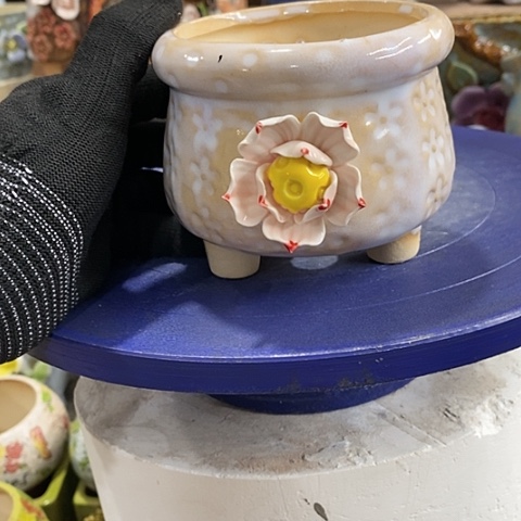 【闪购商品】红陶。